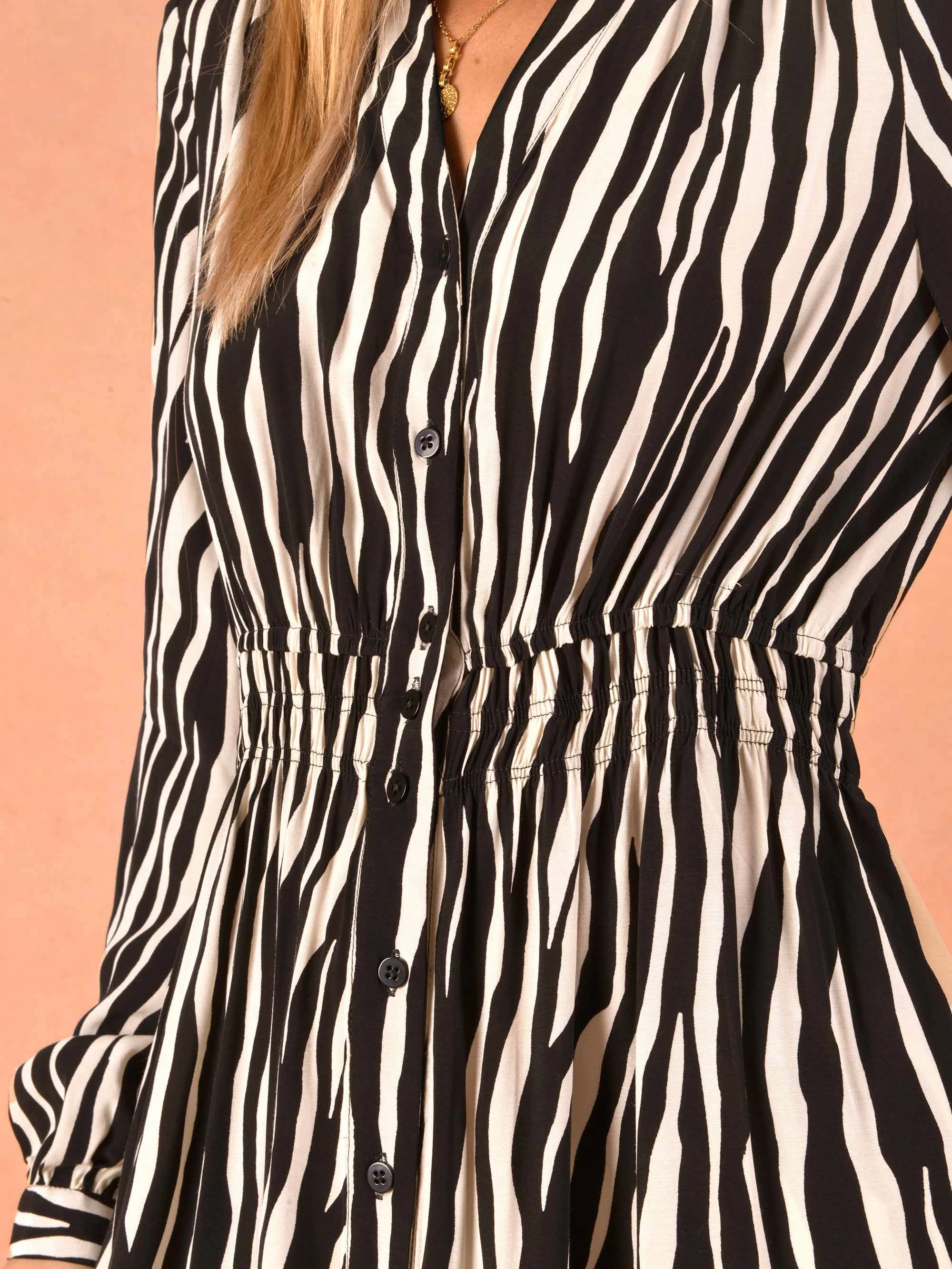 Zebra Print Shirred Waist Shirt Dress